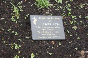 Jarlath